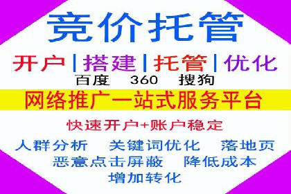 揭秘百度竞价代理：实战案例分析